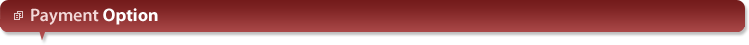 Payment Option Payment Option